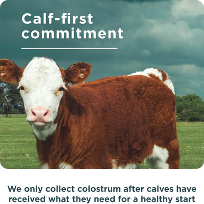 Ancient Nutrition Colostrum Superfood + Collagen, Grass Fed Bovine Colostrum, Fermented Eggshell Membrane Collagen, Supports Healthy Gut Ancient Nutrition