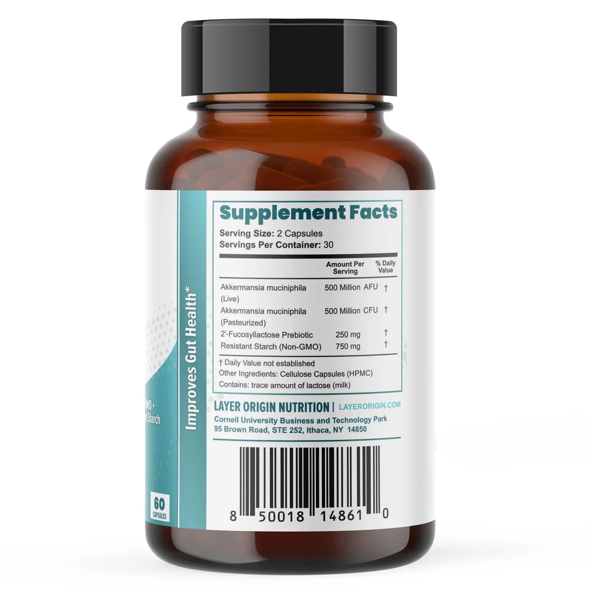 Layer Origin Akkermansia muciniphila Probiotic, with Both Live + Pasteurized Akkermansia and PureHMO Prebiotic, Validated Strain, Updated 4-in-1 Formula Layer Origin
