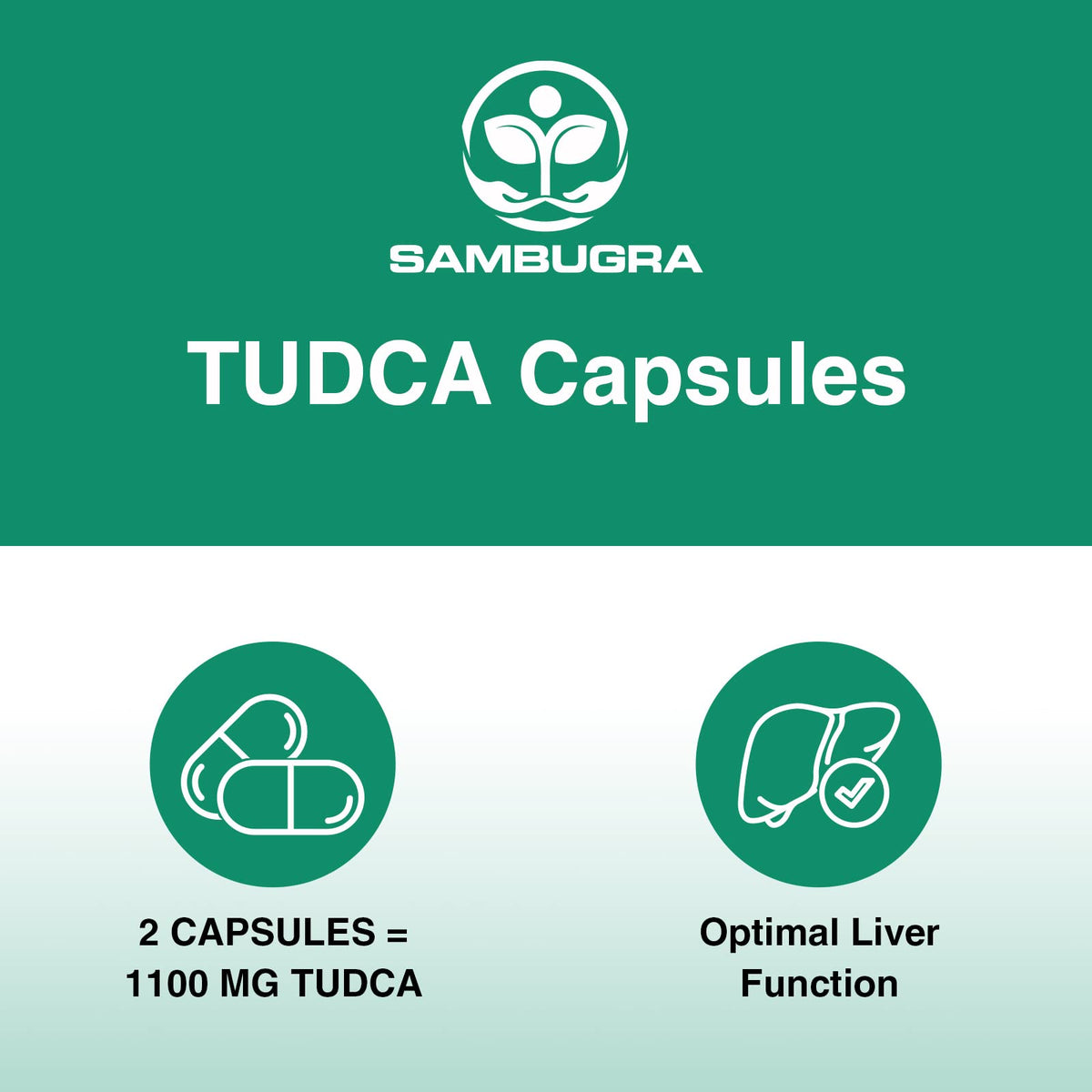 Sambugra TUDCA Liver Supplements 1100mg, 3rd Party Tested Ultra Strength Bile Salt TUDCA Supplement, Liver Support for Detox Sambugra