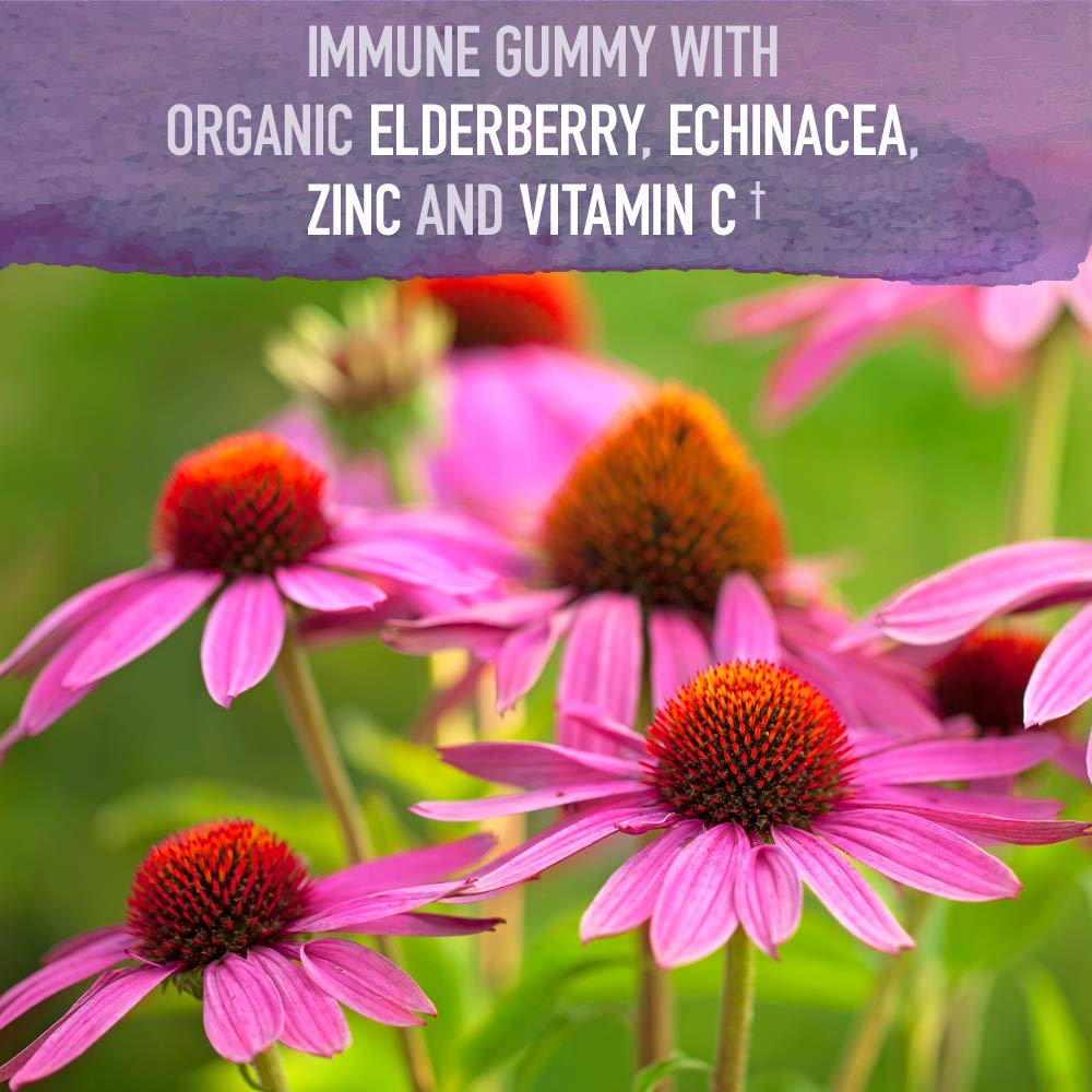 Garden of Life Organics Elderberry Gummies for Adults & Kids - Immune Support Supplement with Organic Fruit, Herbal Blend, Elderberry, Echinacea, Zinc, Garden of Life