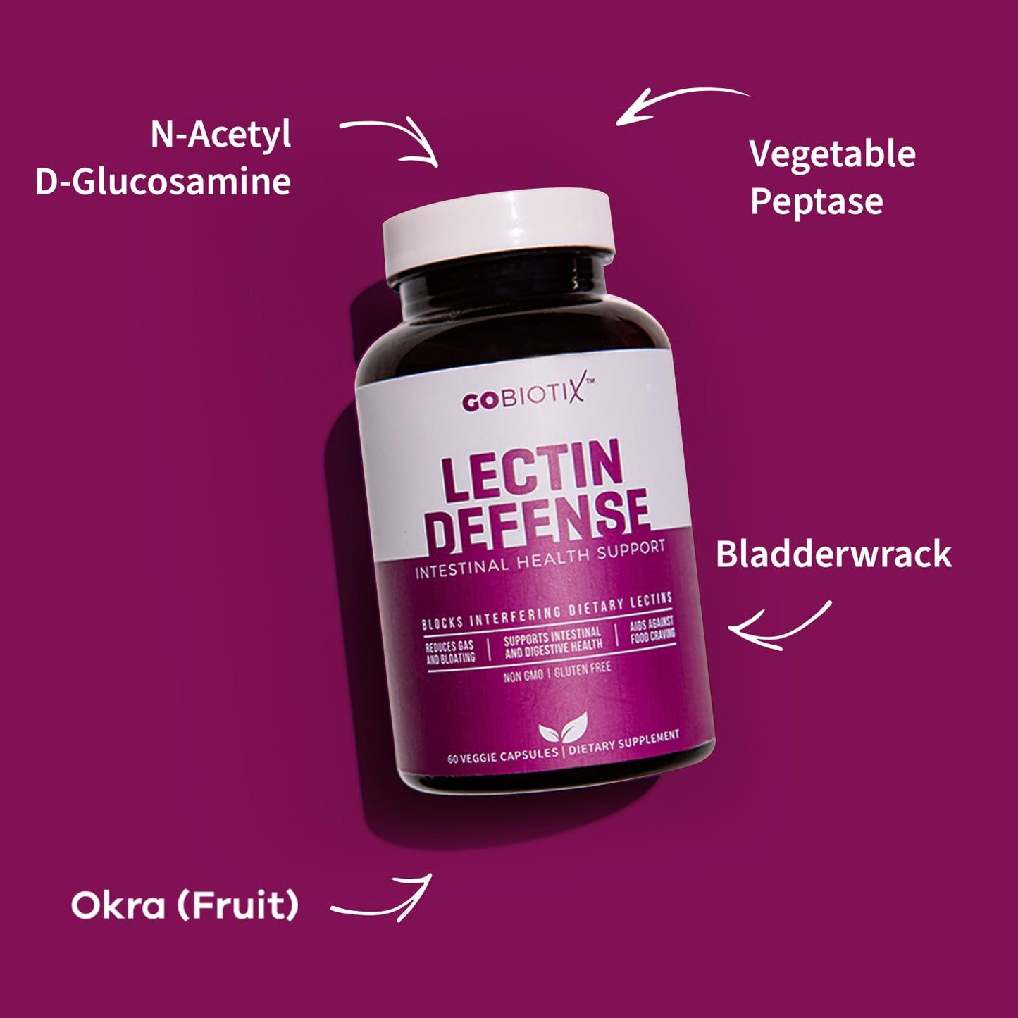 GOBIOTIX Lectin Defense - Lectin Blocker Supplement for Leaky Gut with MSM and Digestive Enzymes - Aids in Intestinal Health for Women and Men - Non-GMO GOBIOTIX