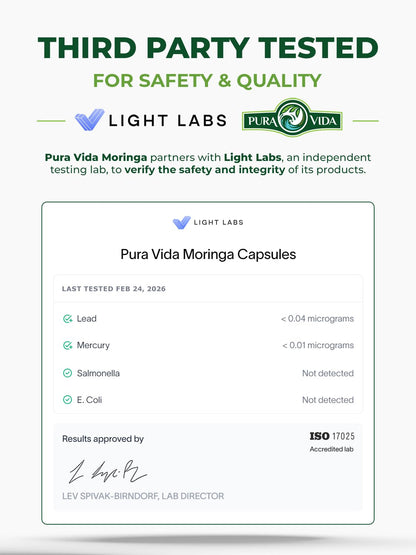 PURA VIDA MORINGA Organic Moringa Powder, Premium 100% Leaf Powder Single Origin - USDA Organic Moringa Oleifera Leaf PURA VIDA MORINGA