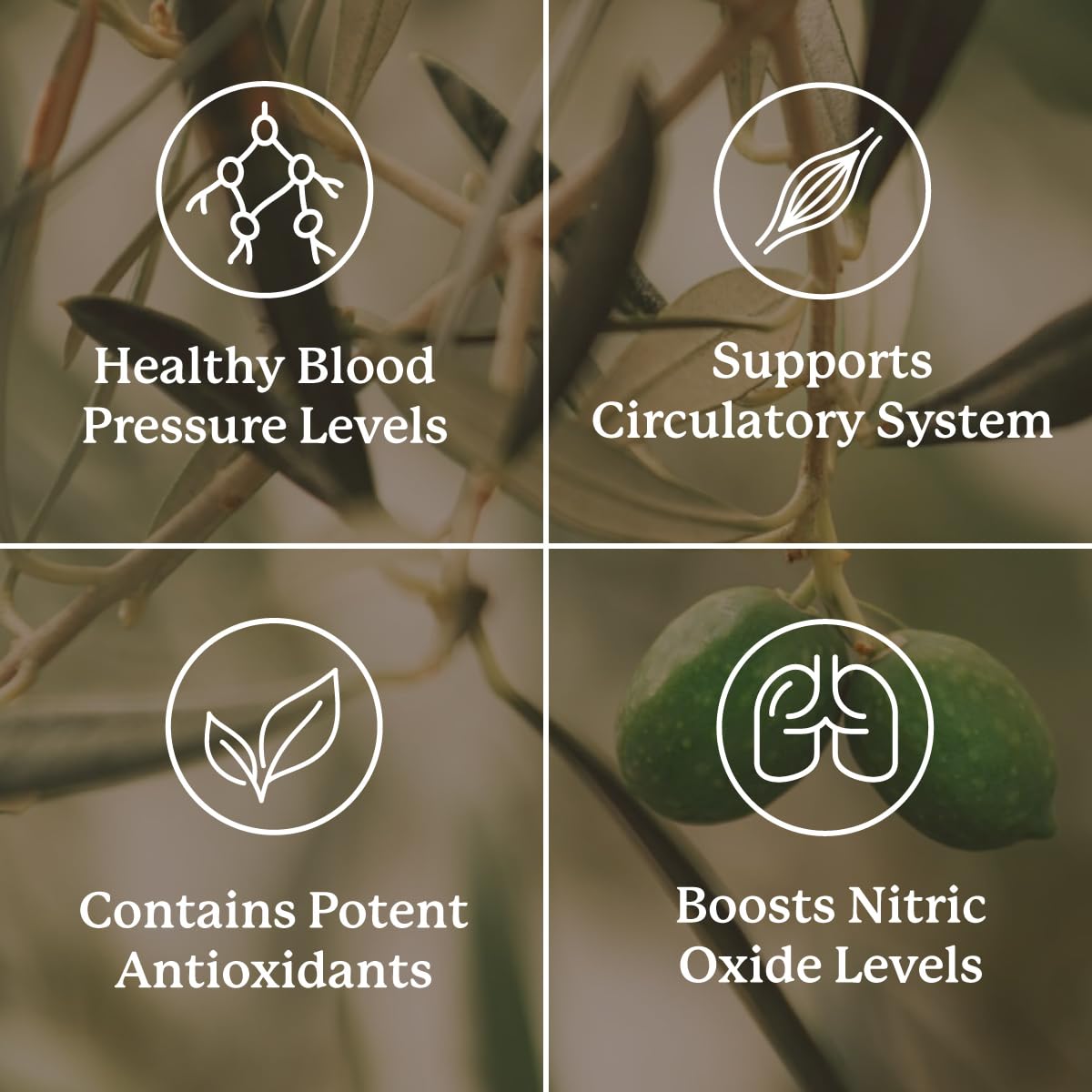 Nature's Sunshine Blood Pressurex 60 Capsules Nature's Sunshine buy australia supplements