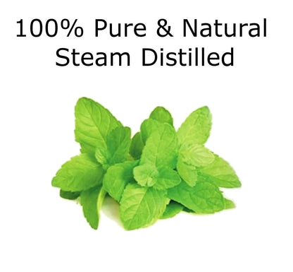 Peppermint Essential Oil 4 oz. with Huge Glass Bottle, Glass Dropper, and Sprayer. Detailed User's Guide E-Book. Skin Care, Garden Care, and Hair Care. Essentially KateS