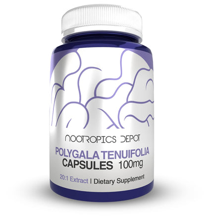 Nootropics Depot Polygala tenuifolia Capsules | 100mg | 90 Count | 20:1 Extract | Yuan Zhi | Promotes Cognitive Function, Learning and Memory | Supports Healthy Stress Levels | Adaptogen Supplement