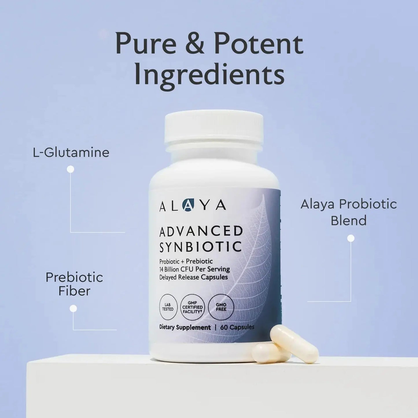 Alaya Naturals Advanced Synbiotic - Probiotic + Prebiotic - 14 Billion CFU Delayed Release Probiotic Supplement with Prebiotics from Sunfiber®, and L-glutamine for Gut Lining Integrity - 60 Capsules Alaya Naturals