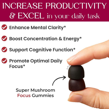 Auri Nutrition Super Mushroom Focus Gummies w/Lion's Mane, Alpha GPC & Rhodiola – Mushroom Supplement to Support Cognitive Function, Mental Clarity, Focus & Energy Auri
