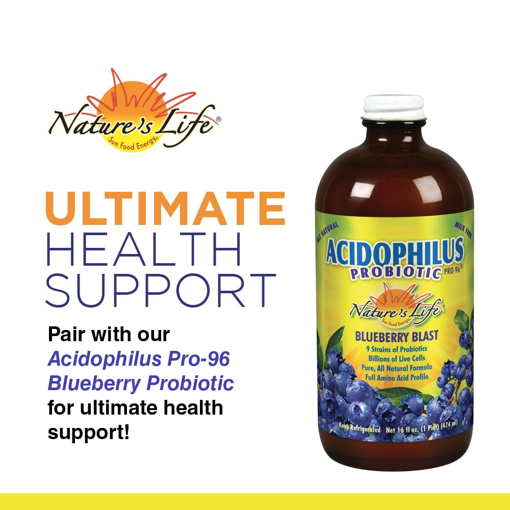 Nature's Life Lipotropic Complex | Comprehensive Support for Healthy Liver Function | with Choline & Inositol | Non-GMO | 90 Vegetarian Tablets Nature's Life buy australia supplements