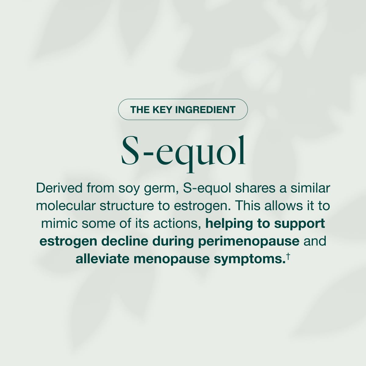 EQUELLE Multi-Symptom Perimenopause & Menopause Relief Relief from Hot Flashes, Muscle Aches & Supports More Sleep. Hormone-Free, Plant-Based S-Equol – 1 Month Supply (60 Tablets) EQUELLE buy australia supplements