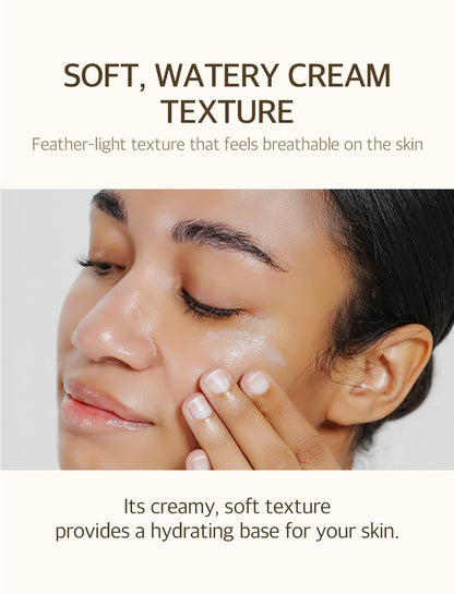 mixsoon Bean Sunscreen-Lightweight Airy Texture SPF 50 No Pilling Korean Sunscreen for Face, No White Cast, Non-Sticky Stocking Stuffers 50ml / 1.69 fl.oz. Korean Glass Skin Care (Bean, 1.69) mixsoon