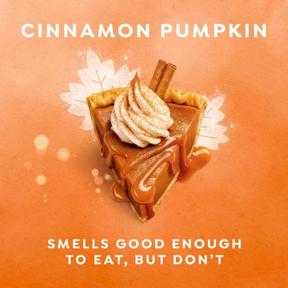 Dove Cinnamon Pumpkin Pie Body Scrub Exfoliates & Moisturizes Skin 15 OZ Dove