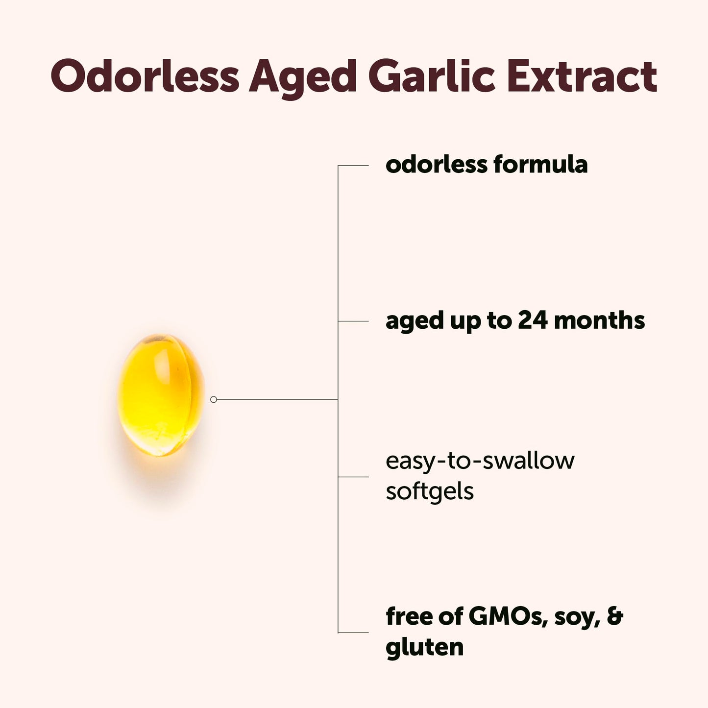 Micro Ingredients Odorless Garlic, 300 Softgels | 2 Years Aged Garlic Extract | Grown Allium Sativum Bulb Micro Ingredients