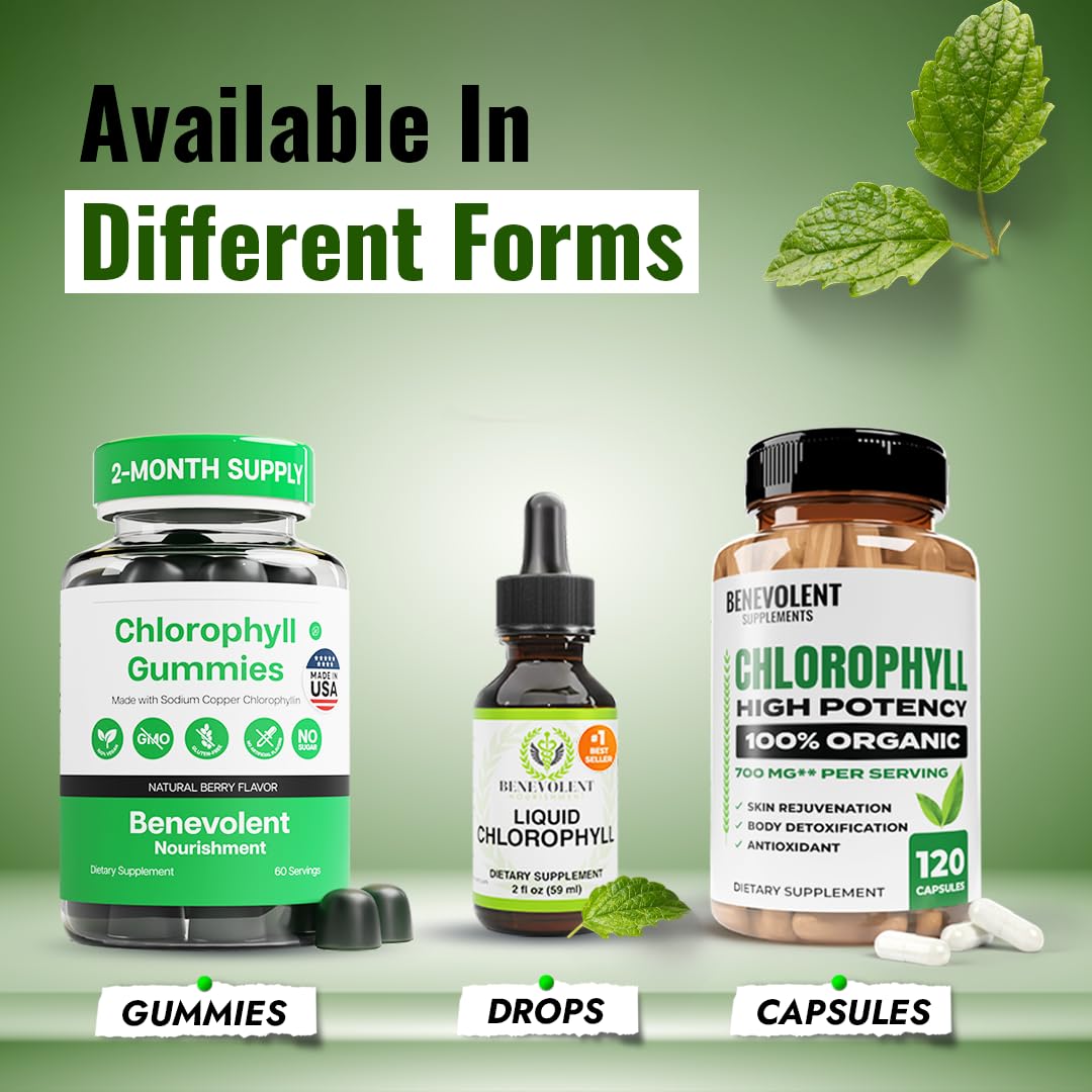 Benevolent Nourishment Chlorophyll Supplement, Detox & Immune Support, Internal Deodorizer, Liquid Drops Benevolent Nourishment
