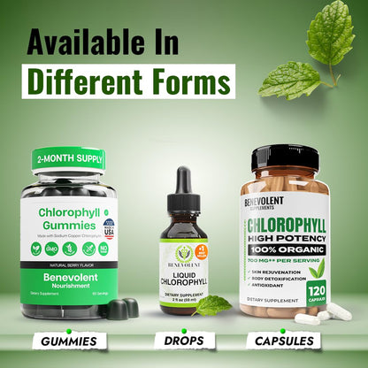 Benevolent Nourishment Chlorophyll Supplement, Detox & Immune Support, Internal Deodorizer, Liquid Drops Benevolent Nourishment