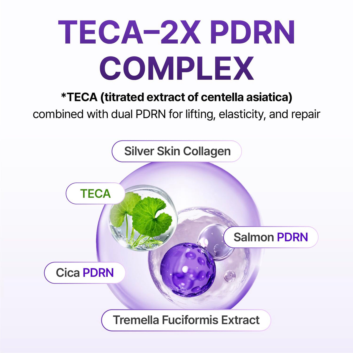 CENTELLIAN 24 360 Shot PDRN Firming Eye Cream, TECA Retinol Care CENTELLIAN 24