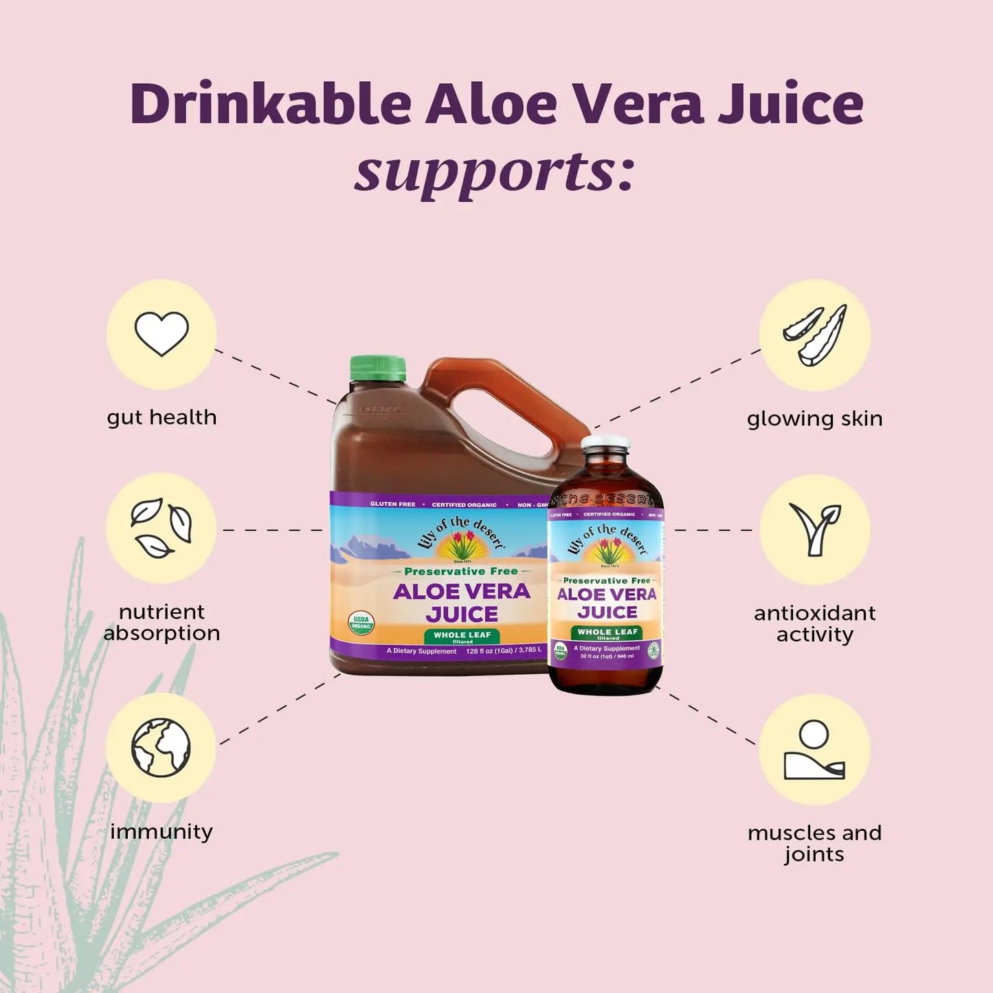 Lily of the Desert Aloe Vera Juice, Whole Leaf Filtered, Organic & Preservative Free – Natural Vitamins, Digestive Enzymes for Gut Health, Lily Of The Desert