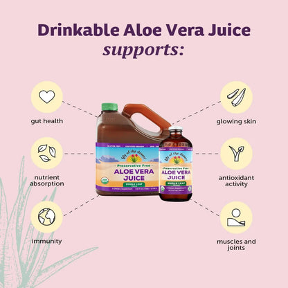 Lily of the Desert Aloe Vera Juice, Whole Leaf Filtered, Organic & Preservative Free – Natural Vitamins, Digestive Enzymes for Gut Health, Lily Of The Desert
