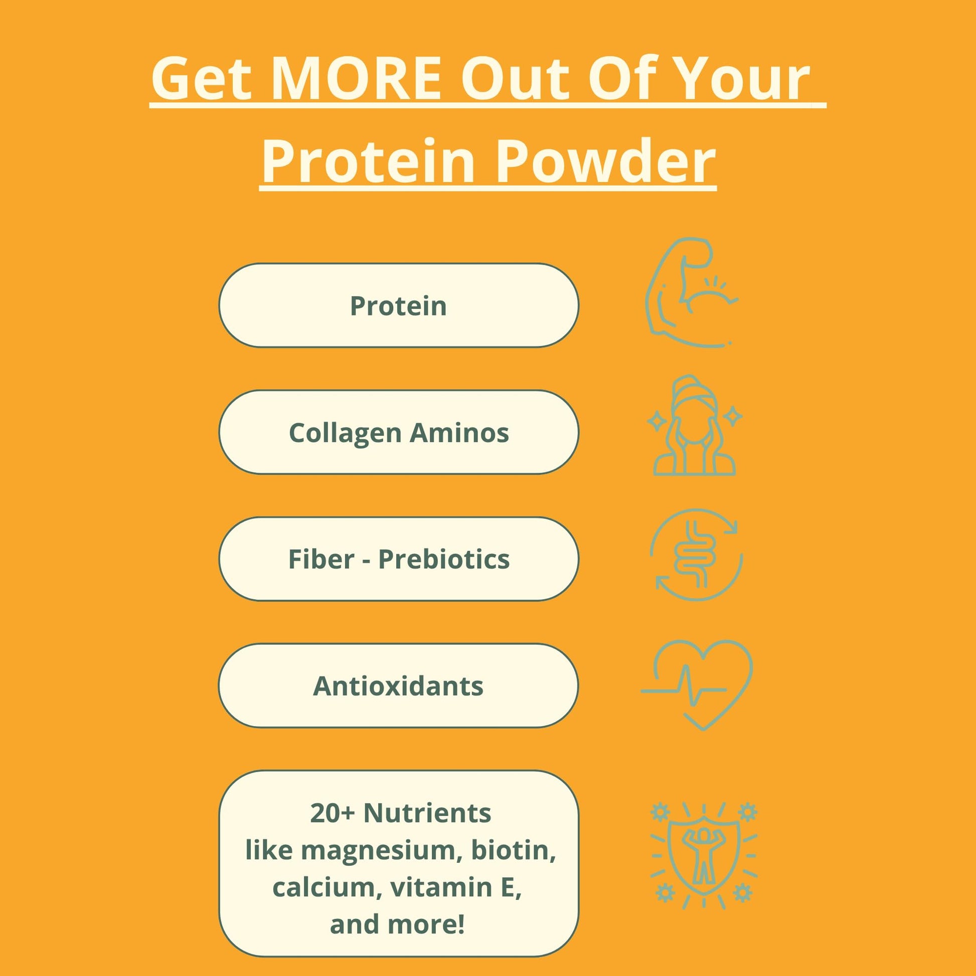 wellious Almond Protein Powder (Unflavored, Unsweetened) - 18 Grams of Pure Healthiest Vegan Protein for Women & Men | Soy-Free & Gut Friendly Protein wellious buy australia supplements