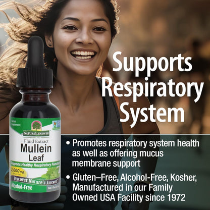 Nature's Answer Mullein Herb - Mullein Leaf Extract for Lungs - Alcohol Free, Non GMO, Made in USA - Supports Respiratory Function & Promotes Healthy Lungs Nature's Answer