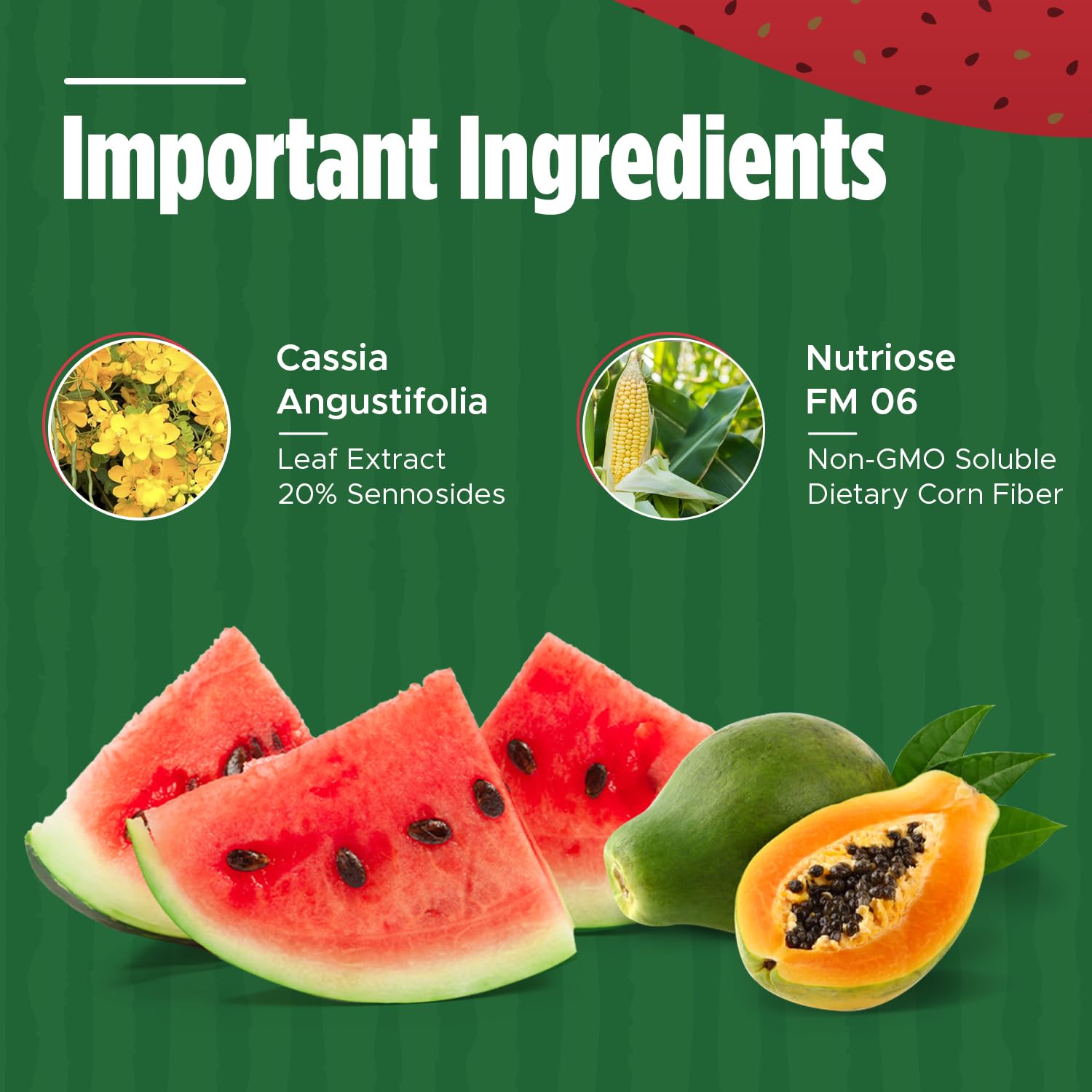 Iaso Instant Tea Watermelon Flavor - 4 grams (25 Sachets) Total Life Changes buy australia supplements