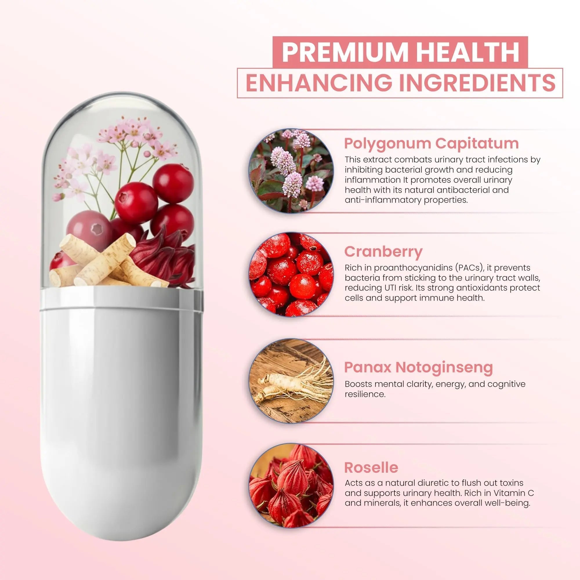ZEN LIFE HERB UTFREx – Fast Acting - Promotes Urinary Tract Health Supports Healthy Immune and Urinary System, No Vitamins, Minerals, Prebiotics, Sugar, Plant-Based Supplement (60 Capsules) ZEN LIFE HERB buy australia supplements