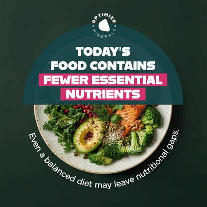 Optimize Minerals Multi Mineral - New Look Same Daily Formula – Magnesium, Electrolytes & Trace Mineral Supplement Powder - Gluten Free Vitamins Drink Optimize Minerals