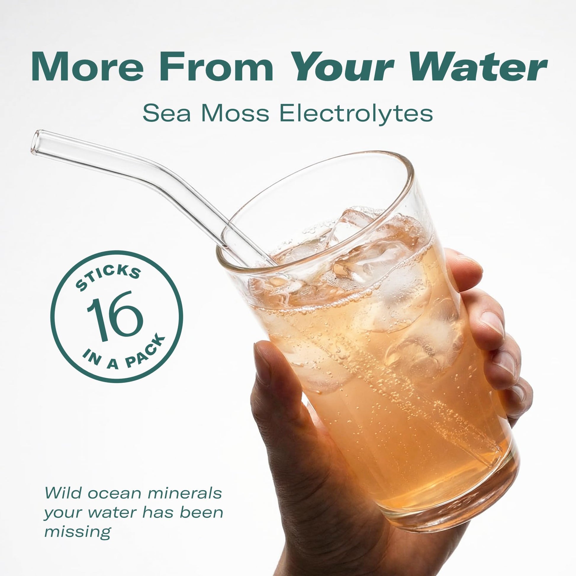 TrueSeaMoss Electrolytes Powder Packets – Made in USA – 16 Stickpacks – Hydration Powder with Sea Moss with Potassium – No Sugar Drinks – Variety Pack TrueSeaMoss buy australia supplements