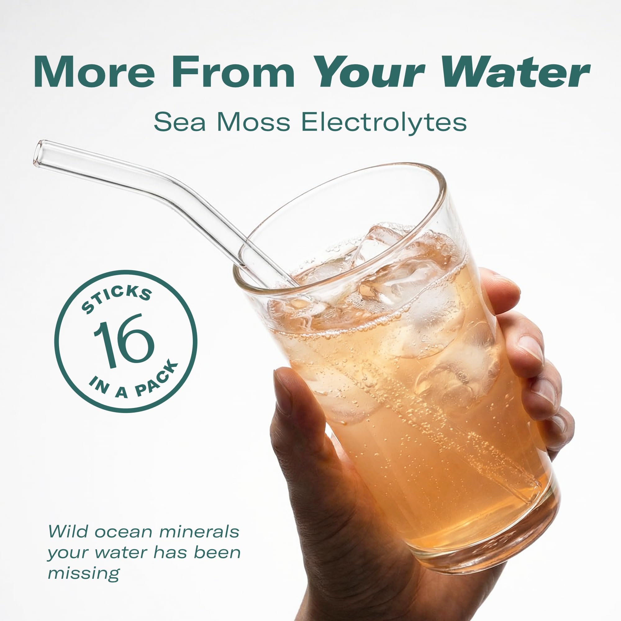 TrueSeaMoss Electrolytes Powder Packets – Made in USA – 16 Stickpacks – Hydration Powder with Sea Moss with Potassium – No Sugar Drinks – Variety Pack TrueSeaMoss buy australia supplements