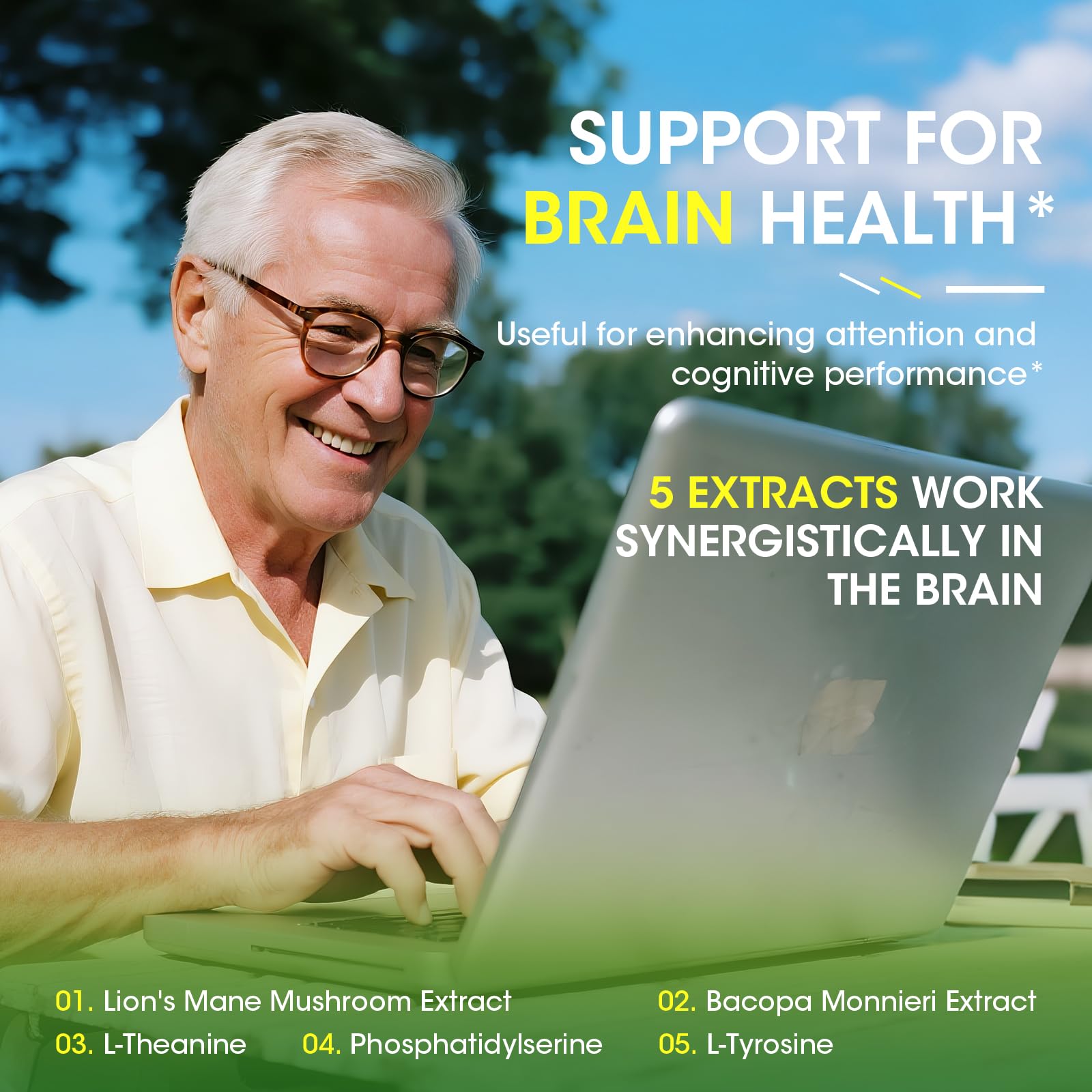 Eye + Brain Supplements for Memory and Focus, Lutein 40mg, Zeaxanthin, Astaxanthin, Bilberry, Lion’s Mane, Bacopa Monnieri, Ginkgo Biloba, 14 in 1 Eye Vitamins for Adults & Seniors 120 Capsules Alliwise buy australia supplements