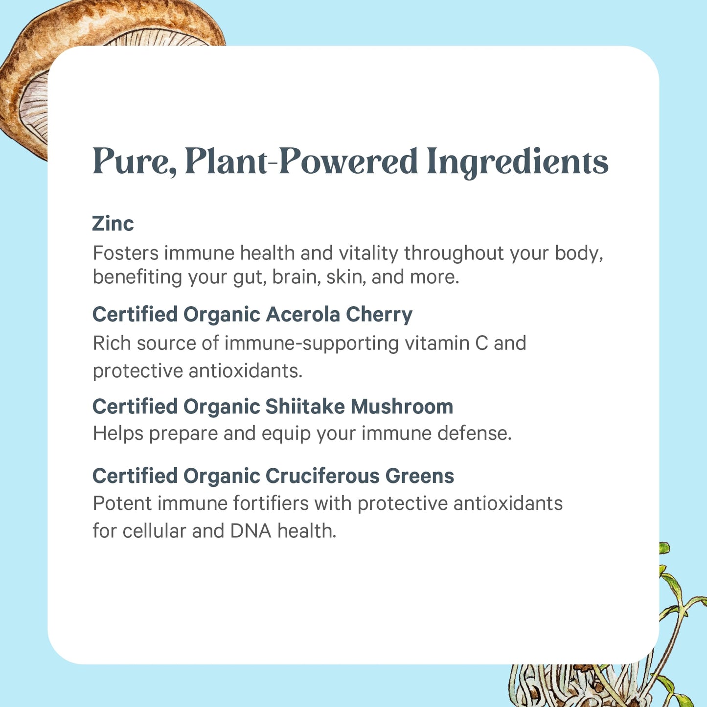PURE SYNERGY Zinc Complex | Immune Support Supplement | Natural, Vegan Zinc Complex with Vitamin C and Organic Whole Foods | for Immune PURE SYNERGY