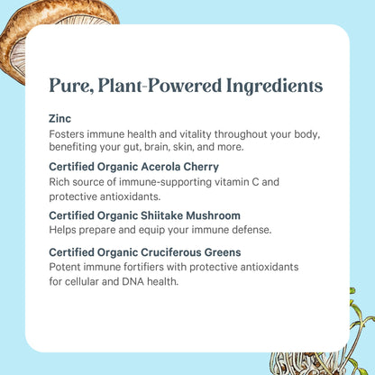 PURE SYNERGY Zinc Complex | Immune Support Supplement | Natural, Vegan Zinc Complex with Vitamin C and Organic Whole Foods | for Immune PURE SYNERGY