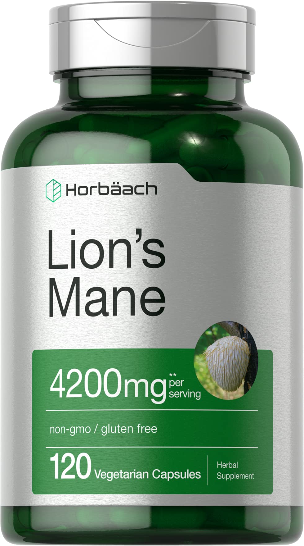 Horbäach Lions Mane Mushroom Extract | 120 Capsules | Vegetarian, Non-GMO, Gluten Free Supplement Horbäach