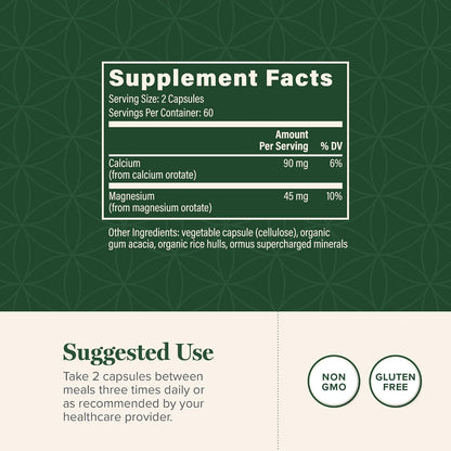 Global Healing Calcium and Magnesium Orotate - Bone Strength Supplement for Women and Men - Helps Support Strong Teeth and Cardiovascular Health for Normal Muscle Function - 120 Capsules