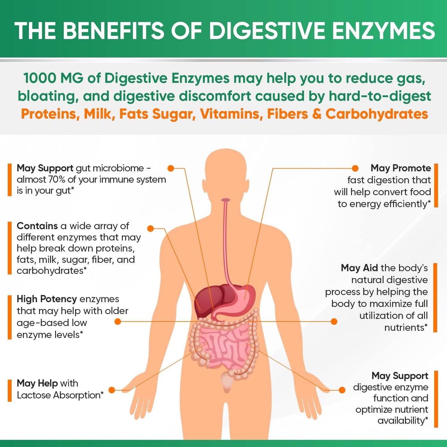 Wholesome Wellness Digestive Enzymes 1000MG Plus Prebiotics & Probiotics Supplement, 180 Capsules, Organic Plant-Based Vegan Formula for Digestion & Lactose with Amylase & Bromelain,3-6 Months Supply Gsupps Australia