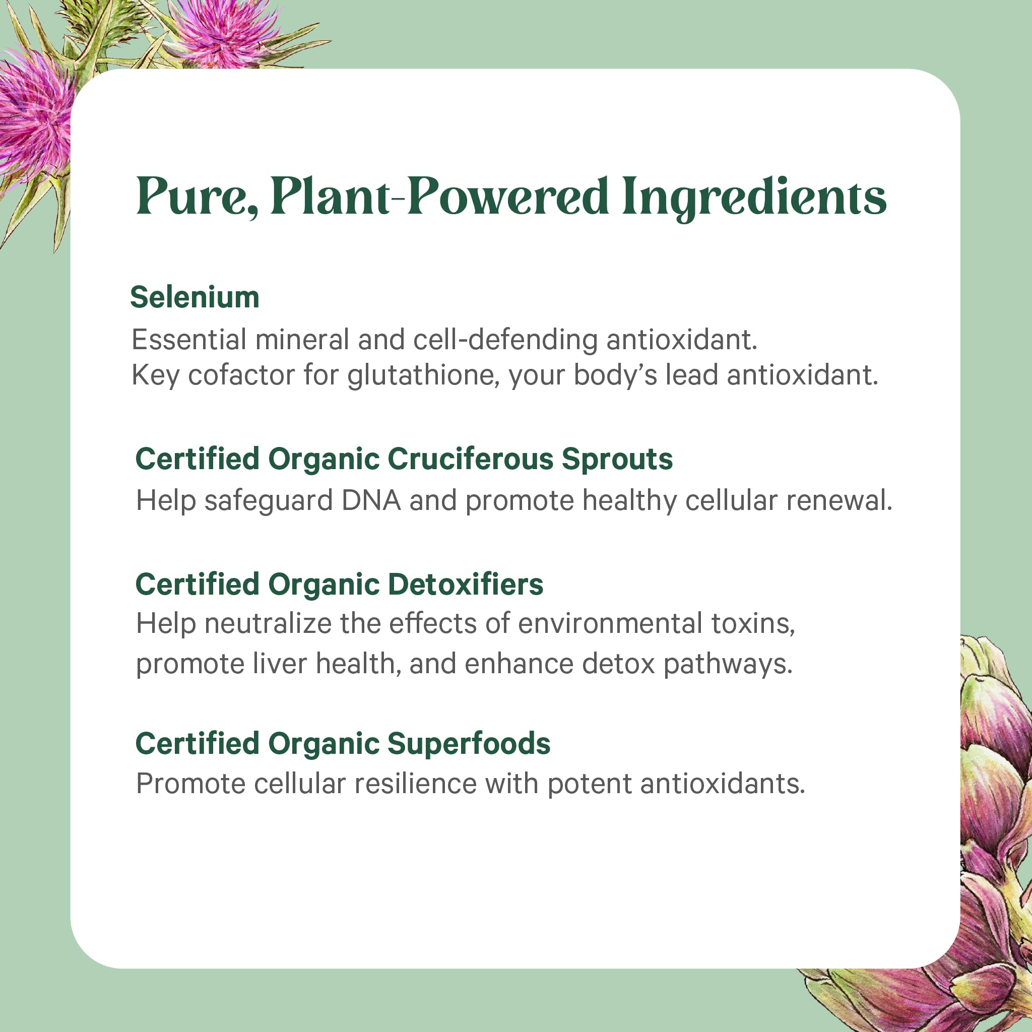 PURE SYNERGY Cell Protector | Cellular Health Supplement | Cell and Immune Support with Selenium and Organic Cruciferous Vegetables | for Healthy Aging & Detoxification (120 Capsules) PURE SYNERGY buy australia supplements