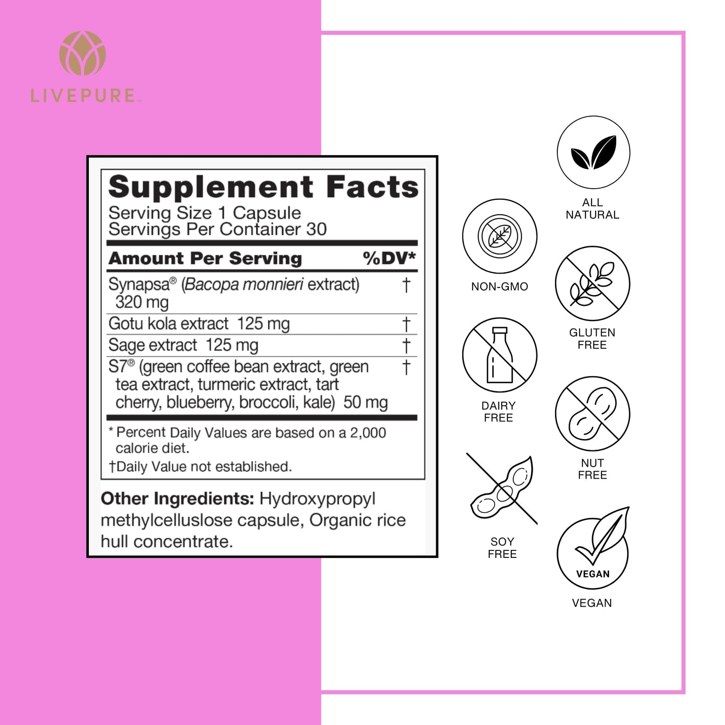 Pure Neuro Boost | 30 Capsules |  Supplement to Support Energy, Memory, and Focus | Supports Better Concentration & Healthy Brain Function PURE