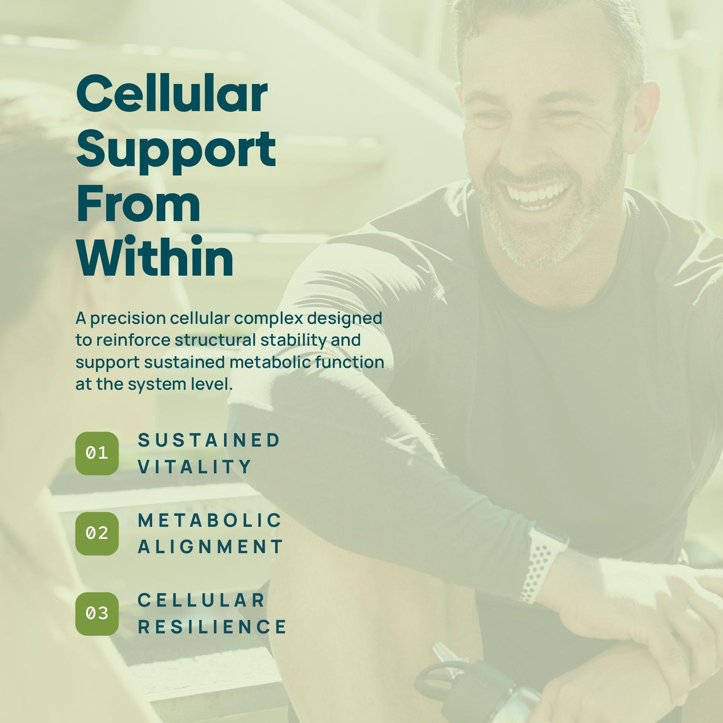 C15:0 Pentadecanoic Acid Supplement | Longevity, Cellular & Membrane Support, Micro-Granule Enhanced Absorption, Phosphatidylcholine, L-Carnitine, Stay-Well Naturals