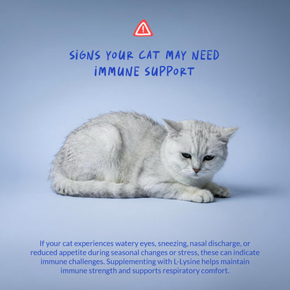 L-Lysine Supplement for Cats 900mg/scoop - Cat Supplement for Sneezing and Runny Nose, Cold, Immune Support, Eye Function Coco and Luna