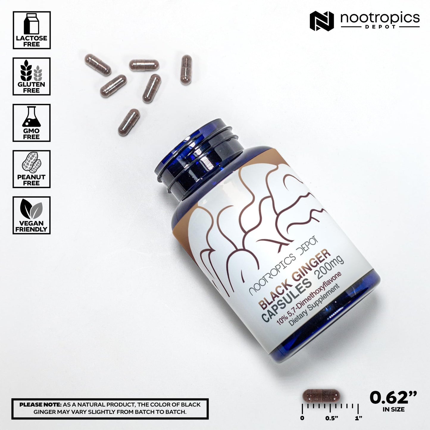 Nootropics Depot Black Ginger Extract Capsules | 10% 5,7-dimethoxyflavone | 60 Count