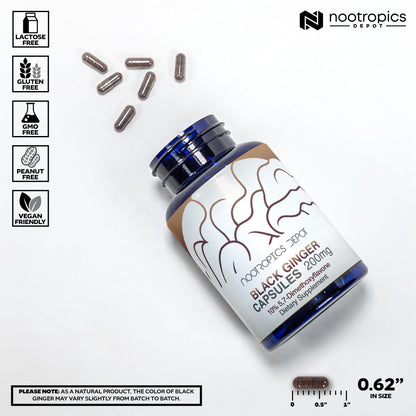 Nootropics Depot Black Ginger Extract Capsules | 10% 5,7-dimethoxyflavone | 60 Count