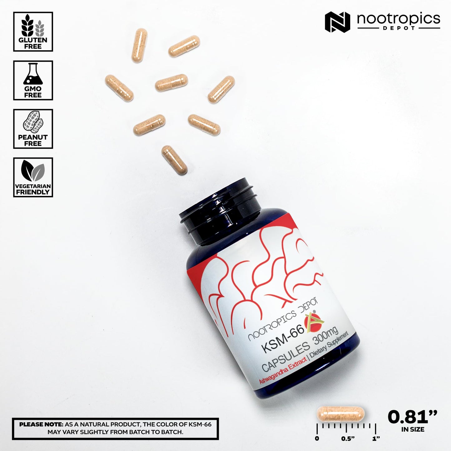 Nootropics Depot KSM-66 Ashwagandha Capsules | 300mg | 90 Count | Withania somnifera Extract | Ayurvedic Herb | Adaptogen Supplement | Promote Relaxation*