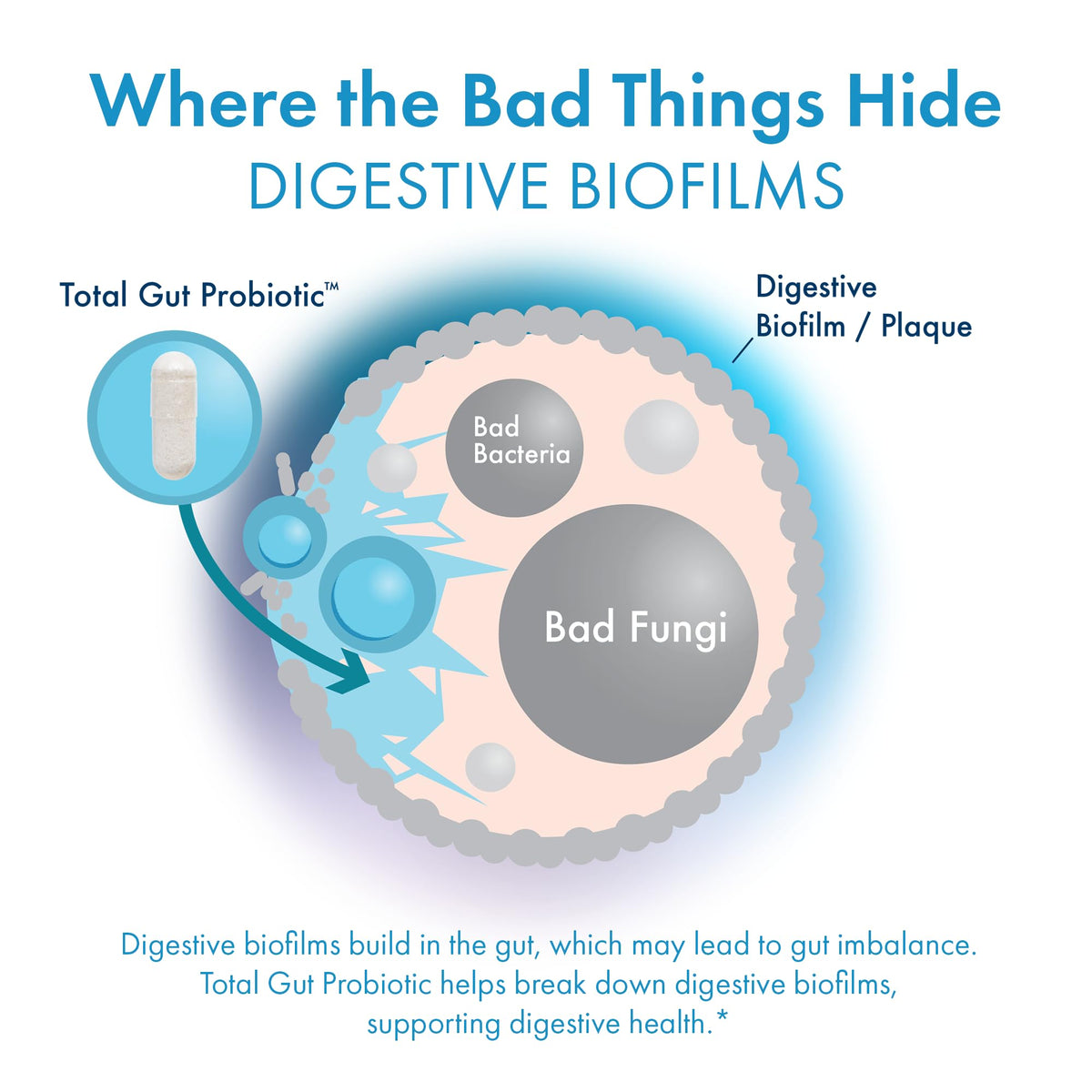 BIOHM Total Probiotic, 30 Billion CFU Daily Probiotics for Women & Men (30 Count) Helps Reduce Occasional Gas & Bloating, BIOHM