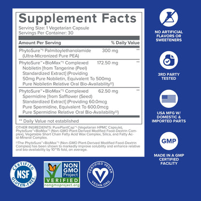 Gundry MD® Bio Sync Supplement for Daytime Energy, Supports Focus and Memory†* - (30 Capsules) Gundry MD