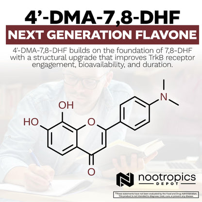 Nootropics Depot 4'-DMA-7,8-DHF Nutritional Supplement Capsules | 10mg | 30 Count | 4'-DMA-7,8-Dihydroxyflavone