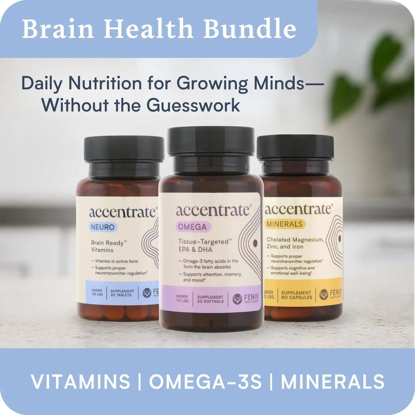 Accentrate Brain Supplement for Focus, Attention, Mood | Complete Vitamin B Complex | Brain Health | Methylated Multivitamin w/L-Methylfolate (5-MTHF), Cofactors Methyl-B12 & P5P | MTHFR Supplement Accentrate