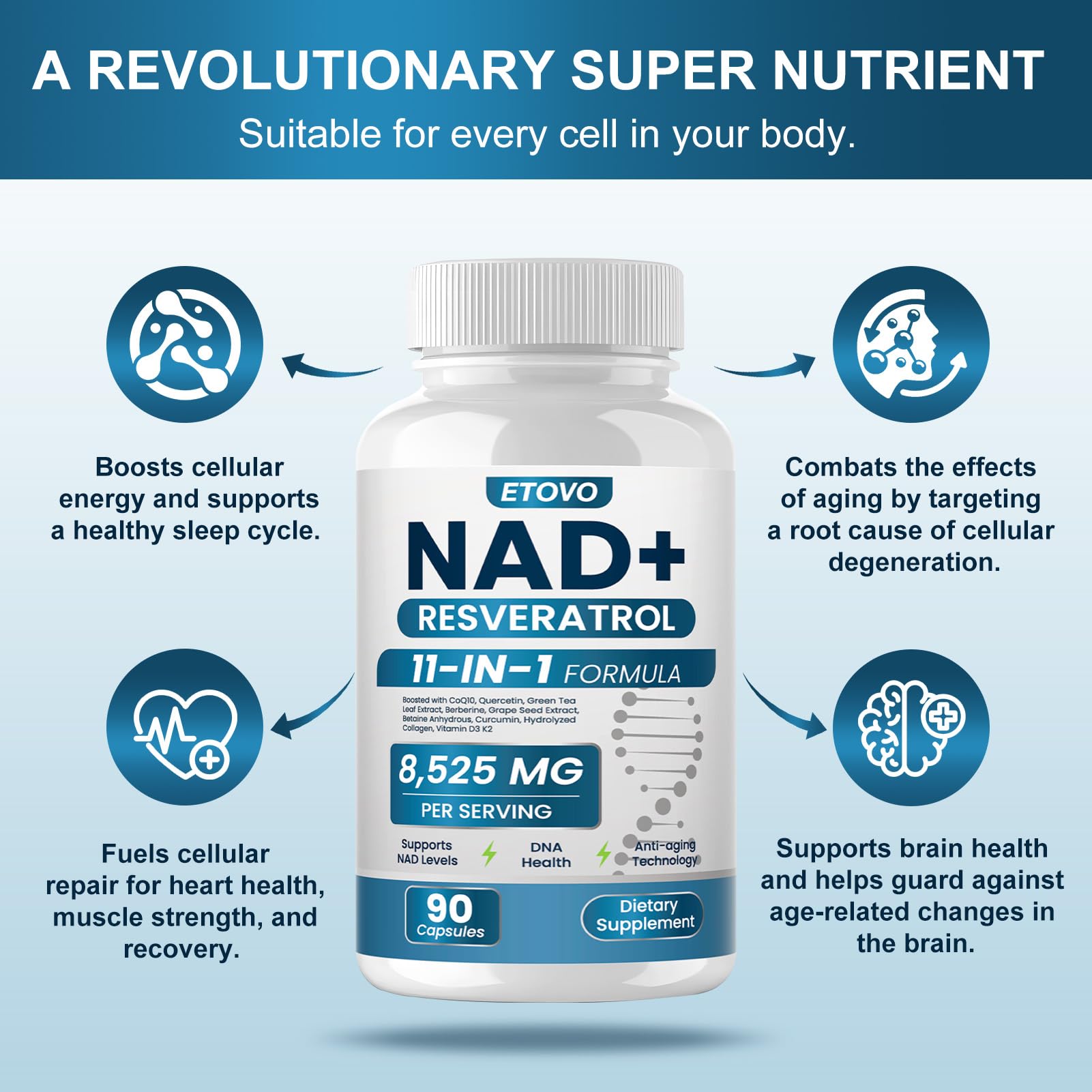 ETOVO NAD+ Supplement, 8525 mg Liposomal NAD Resveratrol Supplement for Women and Men with Coptisine Quercetin Curcumin Supports Cellular Health, Energy & Healthy Anti-Aging 180 Counts ETOVO buy australia supplements