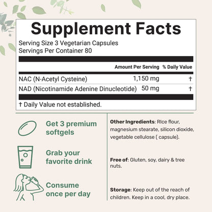 Micro Ingredients NAC with NAD+, 240 Vegetarian Capsules | 1,200 mg Per Serving | 2-in-1 N-Acetyl-L-Cysteine with Nicotinamide Adenine Dinucleotide Micro Ingredients