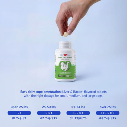 Milk Thistle for Dogs - 120 Chewable Tablets - Silymarin - Liver and Kidney Support with EPA & DHA - Detox - Liver Supplement for Dogs Coco and Luna