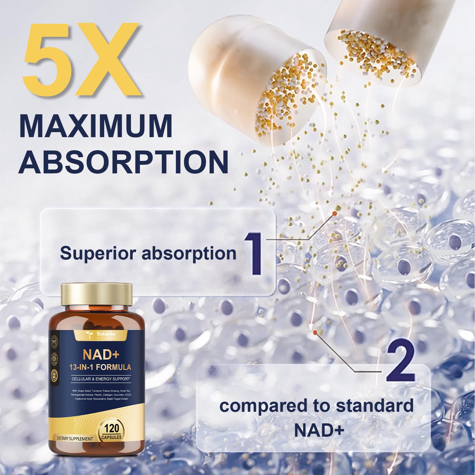 Totaria (2 Packs) NAD Supplement for Women Men with nicotinamide riboside resveratrol,Quercetin, Betaine Boost NAD+ Levels NAD Plus Supplement for Anti Aging, Energy, Immune, Focus 120 Capsules Totaria buy australia supplements