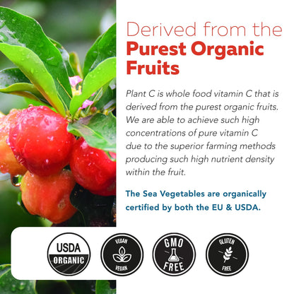 Organic Vitamin C | Whole Food Vitamin C from Fruit Plus Absorption Enhancing Cofactors - Vegan, Enhanced Bioavailability - Immune Support Triquetra Health